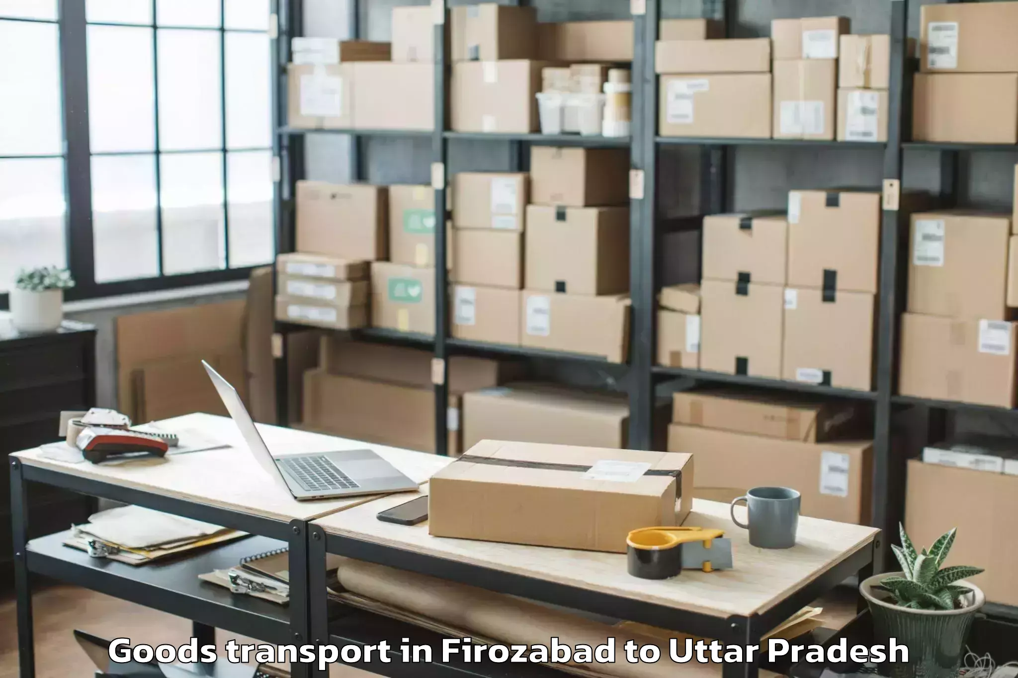 Top Firozabad to Maudaha Goods Transport Available